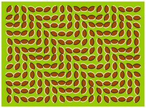 Optical Illusion 2