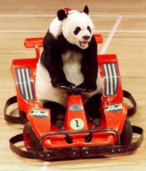 Panda Driver