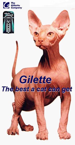 Gilette