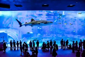 Discover the Aquatic Wonder: Kuroshio Sea - World's Second Largest Aquarium