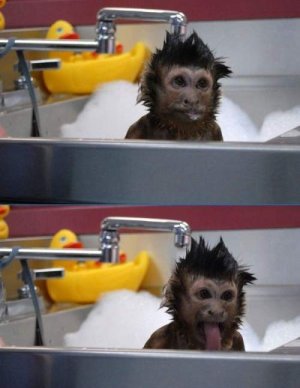 Monkey Shower