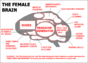 The female brain