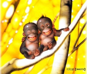 Cute Apes
