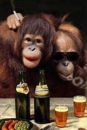 Drinking Monkey