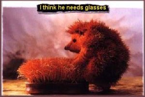 He Need Glasses