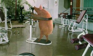 Pig Workout