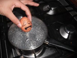 Egg cooking