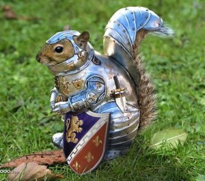 Squirrel Body Armor