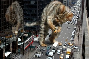 Catzilla