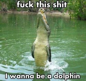 I Wanna be a dolphin