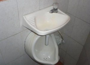 Revolutionary toilet