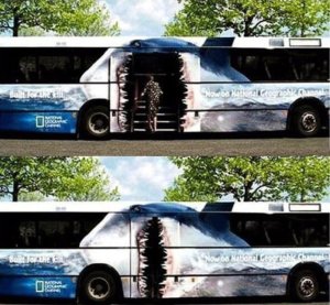 Amazing Bus