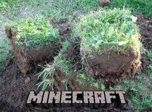 Minecraft vs. Reality: Earth Cubes Edition