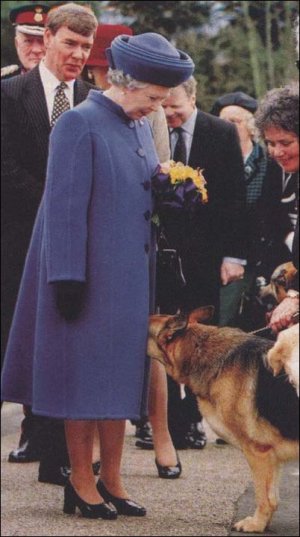 dog visits queen