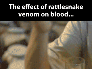 Rattlesnake venom
